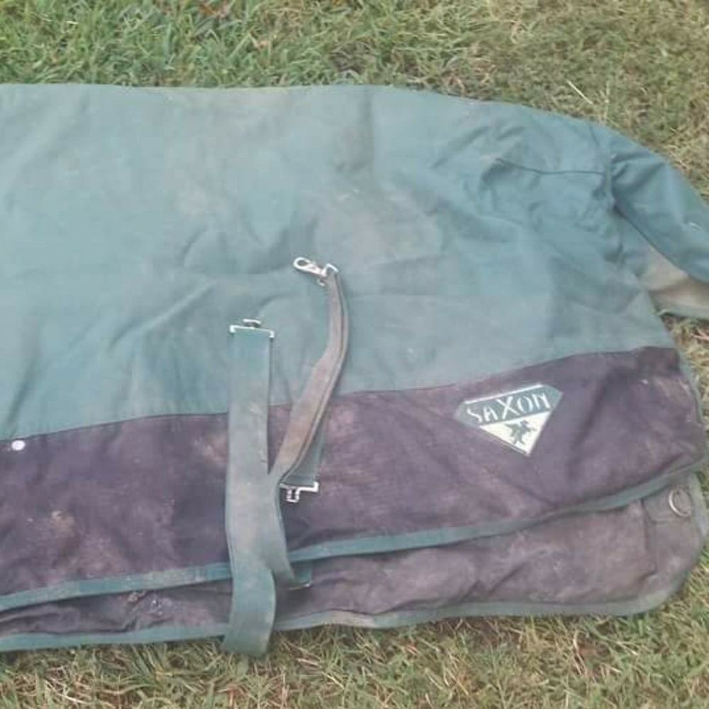 Horse winter blanket